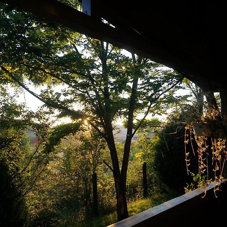 Natura Chalets Praid Bagian luar foto