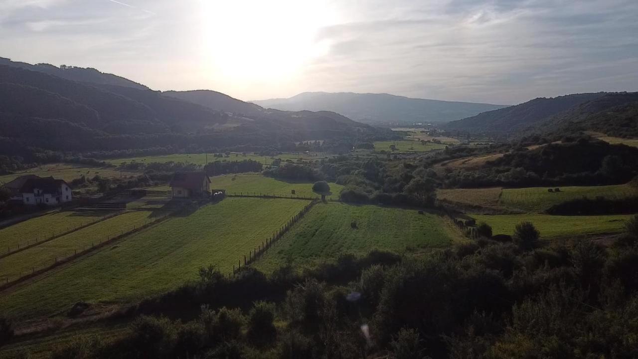 Natura Chalets Praid Bagian luar foto