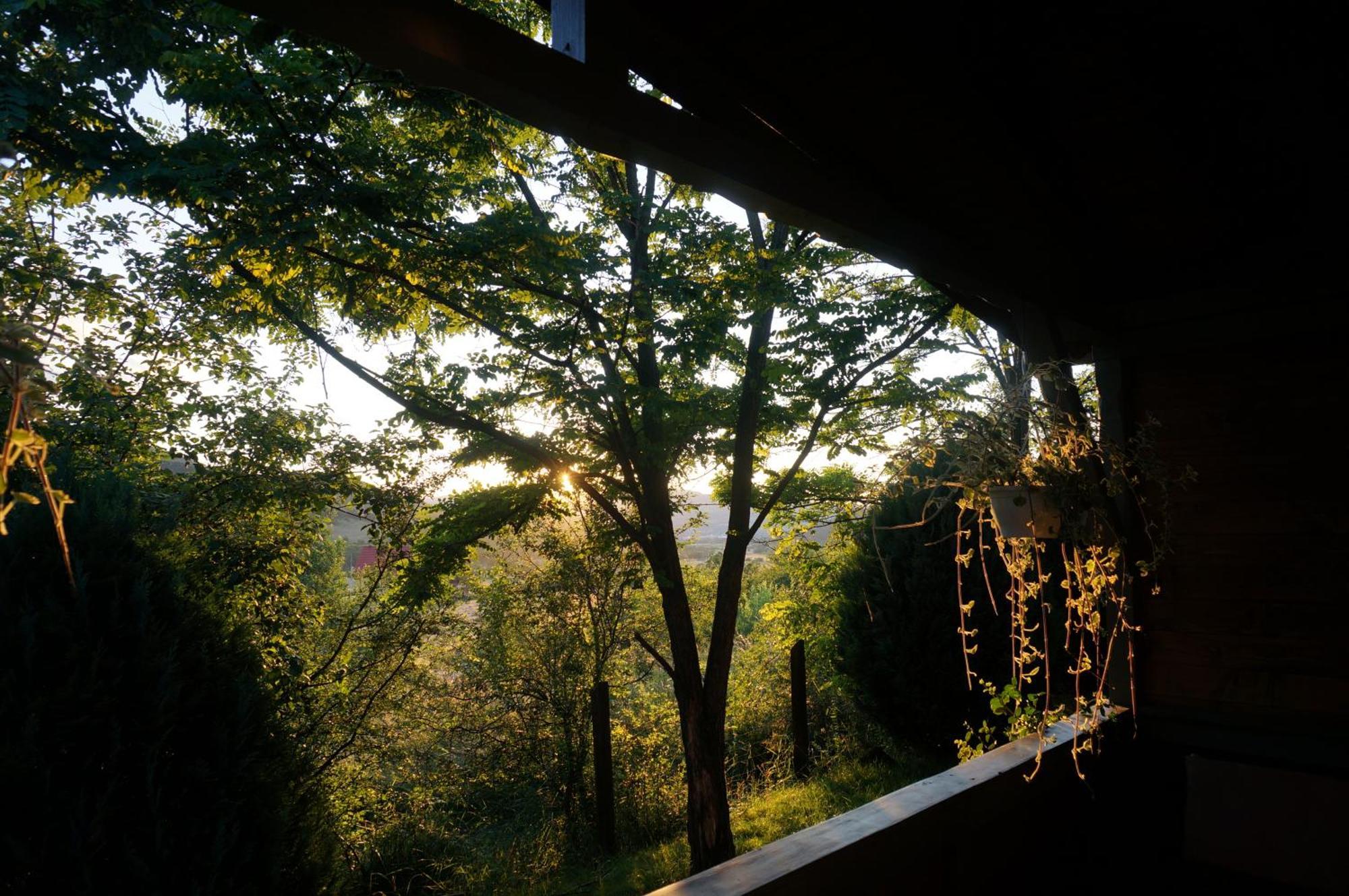 Natura Chalets Praid Bagian luar foto